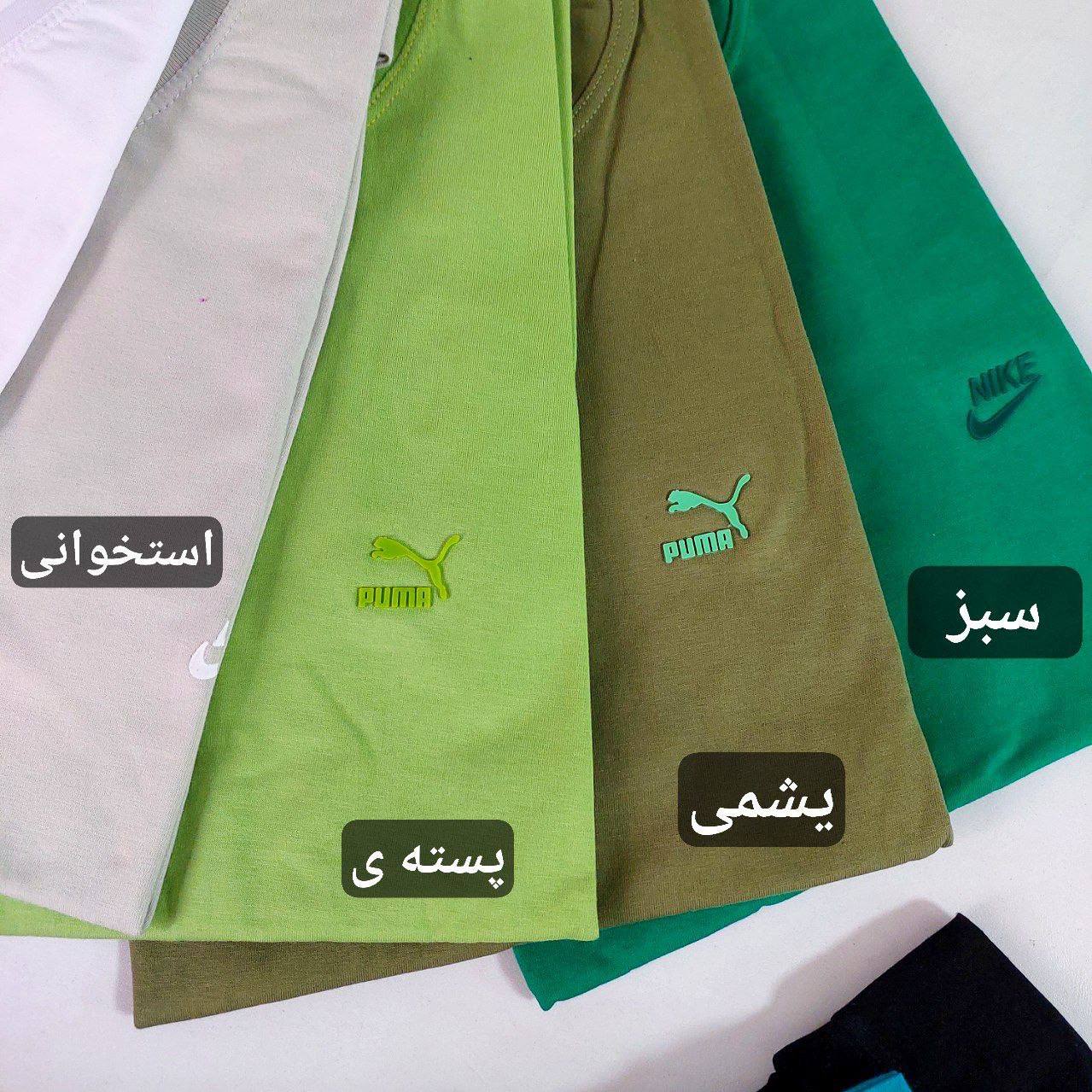 عکس تیشرت لوگو - شماره 17