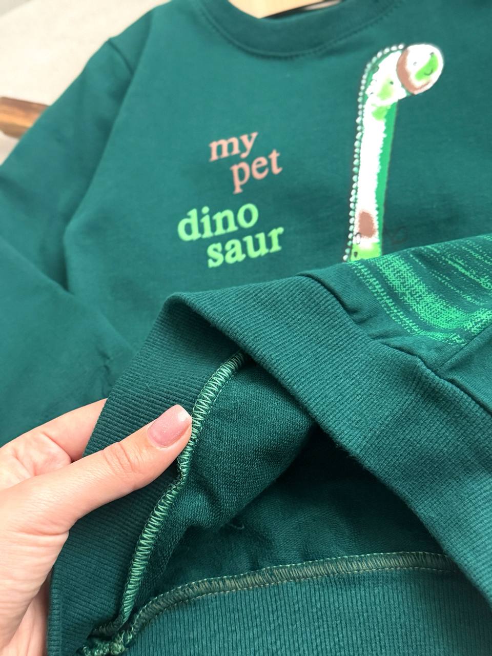 عکس ست pet دایناسور - شماره 8