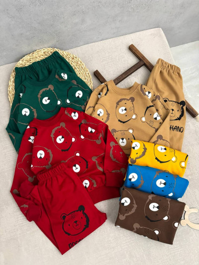 ست خرس رنگین